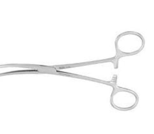 Curved Forceps 8 in.-0